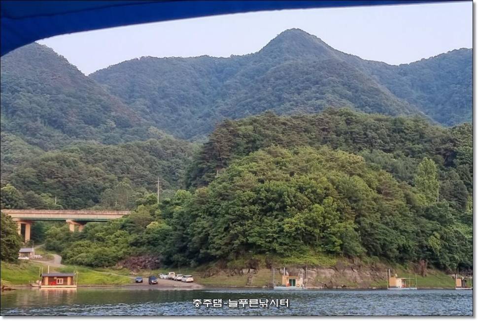 충주호 늘푸른 주중 조황소식 (조황조행기 - 충주호조황속보)
