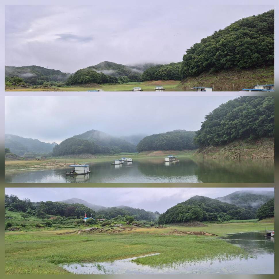 청풍신리낚시터 조황입니다 (조황조행기 - 충주호조황속보)