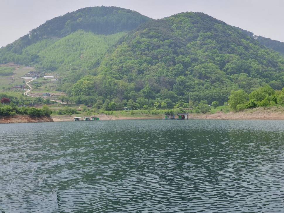 용곡 김기호 낚시터 조황정보 입니다 (조황조행기 - 충주호조황속보)