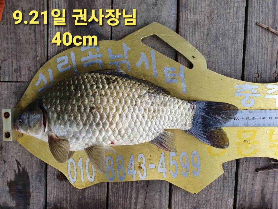 실리곡낚시터 44cm 대물 조황입니다 (조황조행기 - 충주호조황속보)