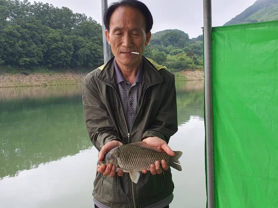 용곡 김기호 낚시터 조황정보 입니다 (조황조행기 - 충주호조황속보)