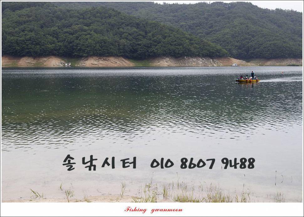 솔낚시터의 아침 조황소식 입니다 (조황조행기 - 충주호조황속보)
