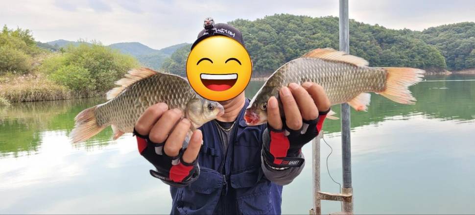 청풍신리낚시터 허리급 조황입니다 (조황조행기 - 충주호조황속보)