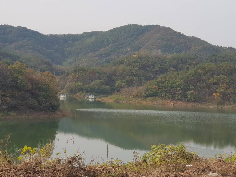 실리곡낚시터 허리급 조황입니다 (조황조행기 - 충주호조황속보)