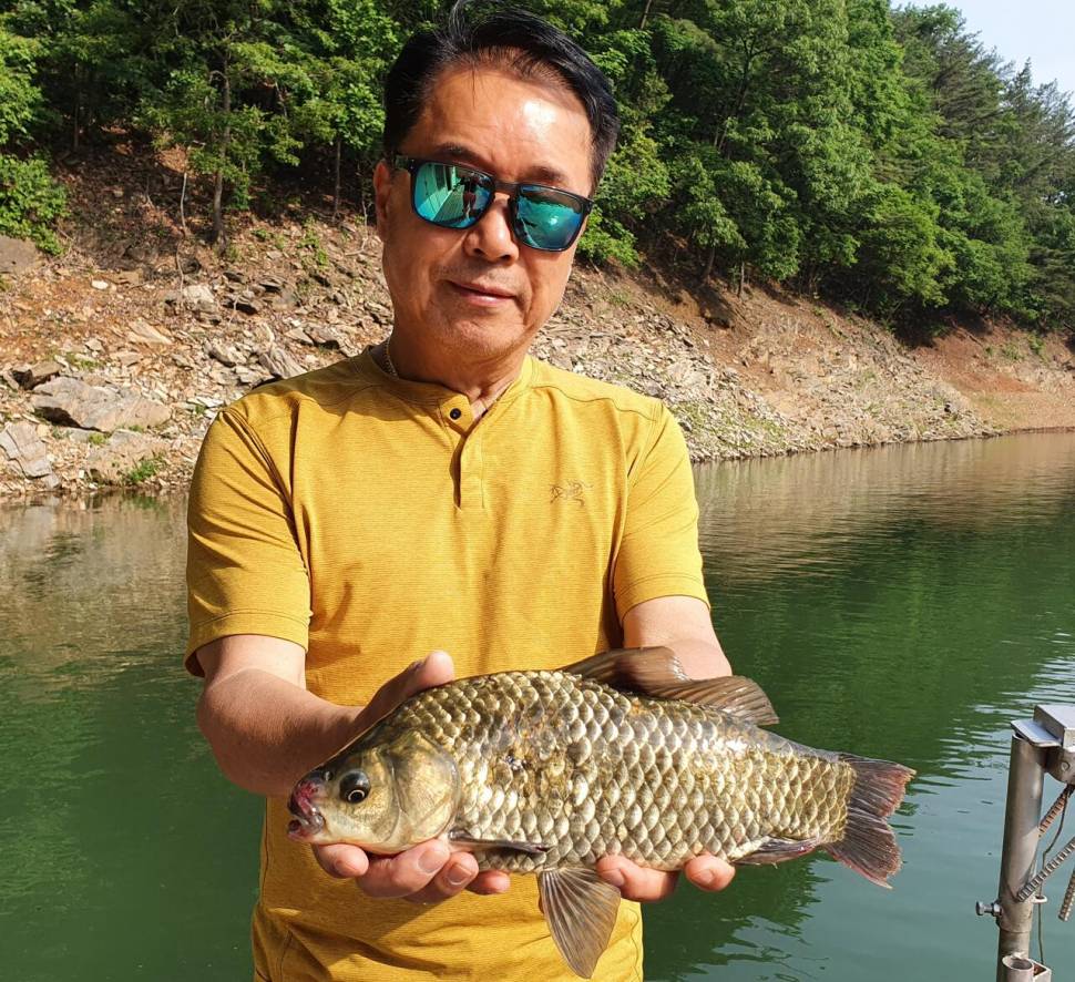 청풍신리낚시터 4짜외 허리급 조황입니다 (조황조행기 - 충주호조황속보)