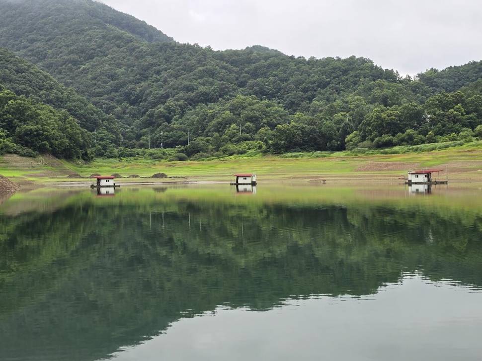 청풍 한버들 조황입니다 (조황조행기 - 충주호조황속보)