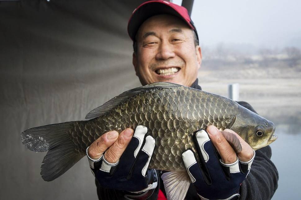 솔낚시터 조황소식 입니다 (조황조행기 - 충주호조황속보)