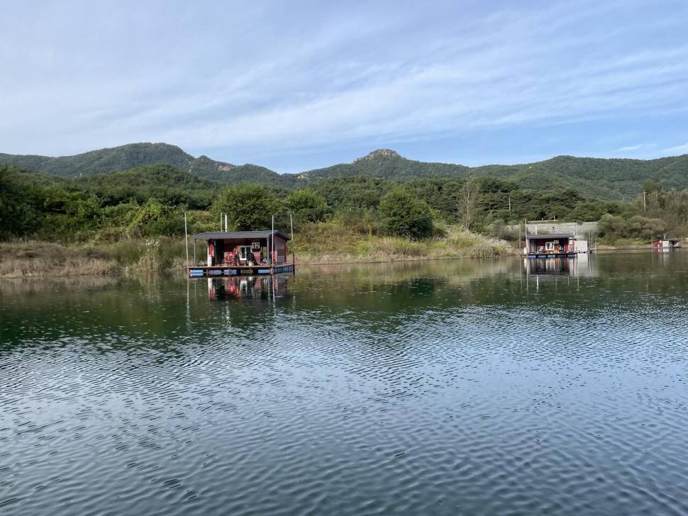 솔낚시터 사짜 조황소식 입니다 (조황조행기 - 충주호조황속보)