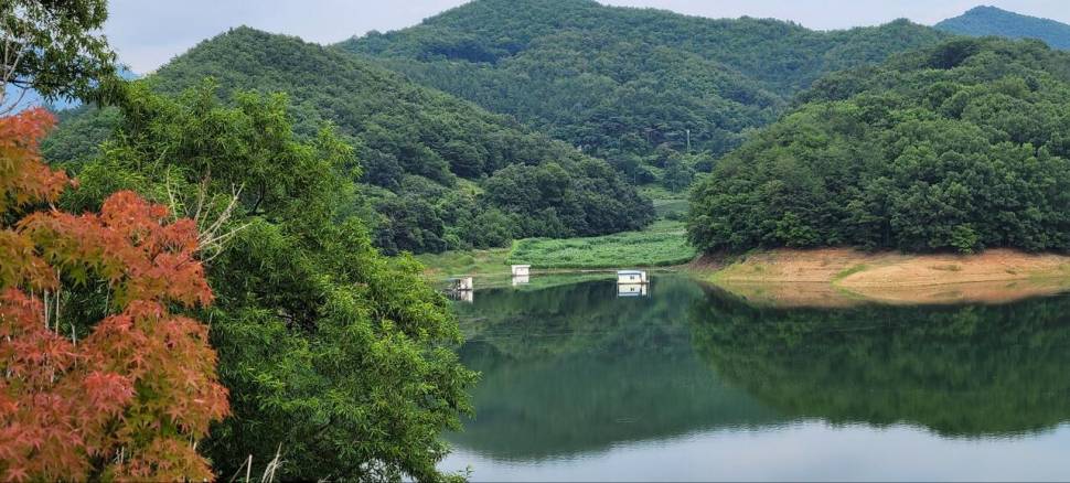 청풍신리낚시터 허리급 조황입니다 (조황조행기 - 충주호조황속보)