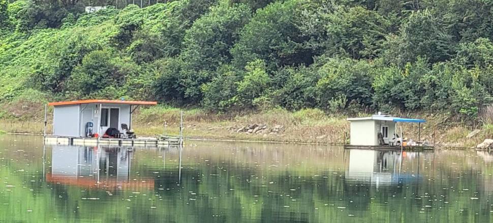 실리곡낚시터 허리급 조황입니다 (조황조행기 - 충주호조황속보)