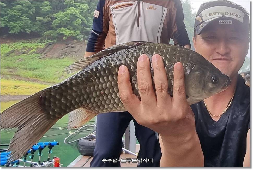 간밤에 폭우가 내렸습니다 (조황조행기 - 충주호조황속보)