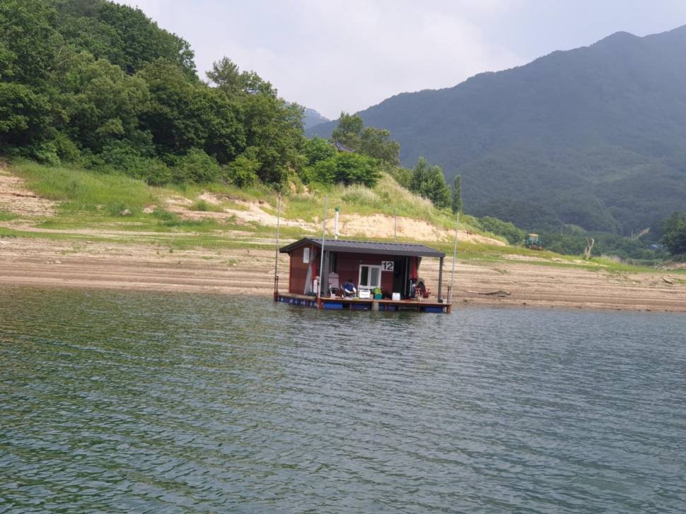 솔낚시터 조황입니다 (조황조행기 - 충주호조황속보)