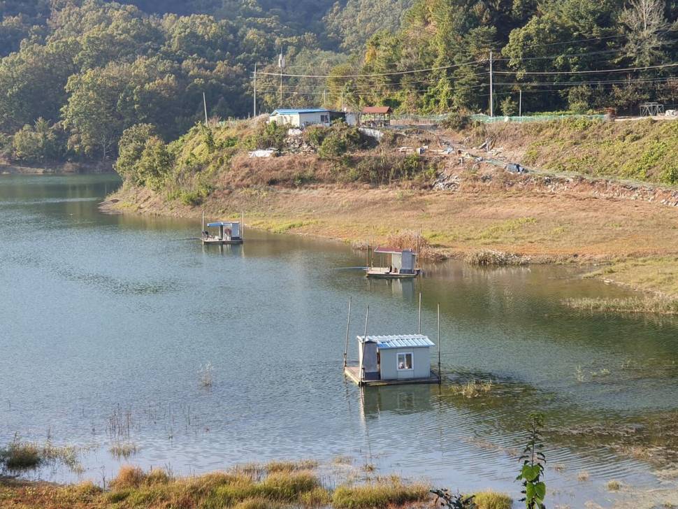 실리곡낚시터 허리급 조황입니다 (조황조행기 - 충주호조황속보)
