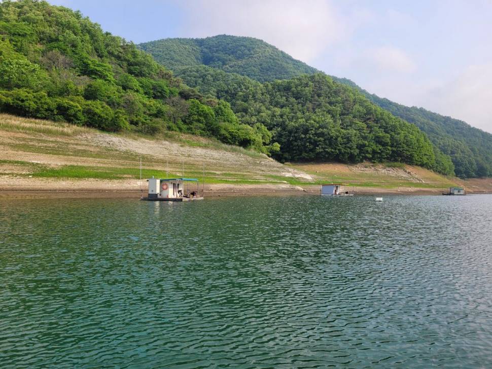 실리곡낚시터 4짜 조황입니다 (조황조행기 - 충주호조황속보)