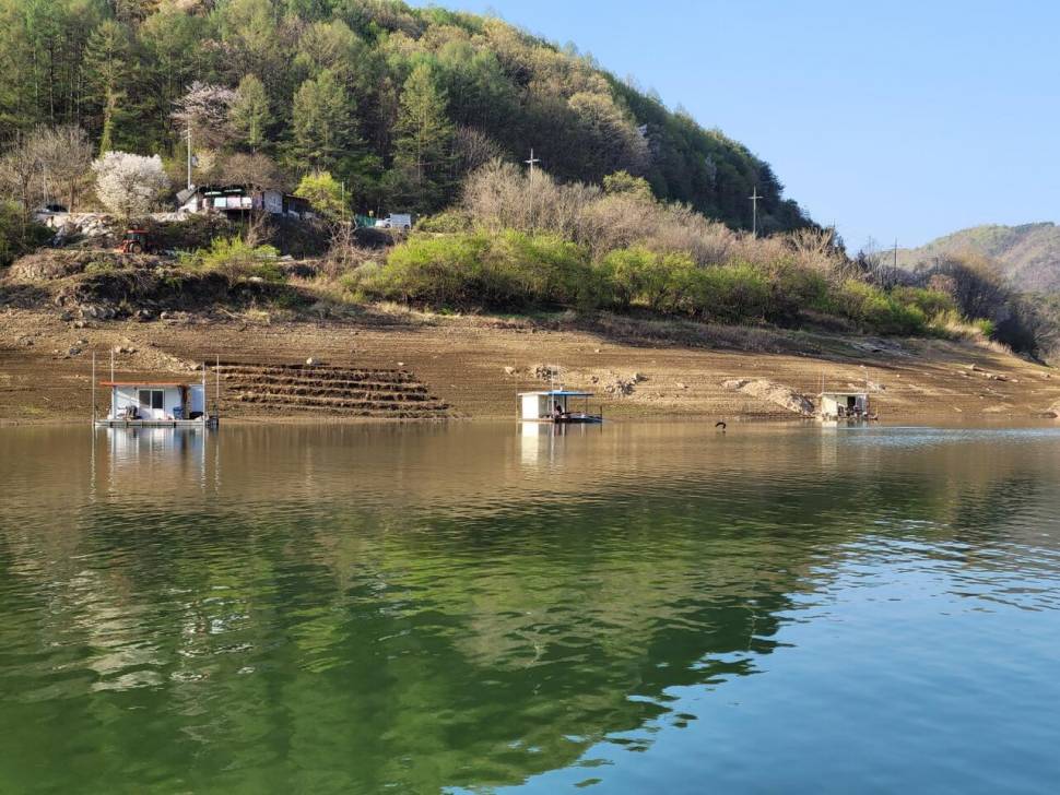 실리곡낚시터 조황입니다 (조황조행기 - 충주호조황속보)