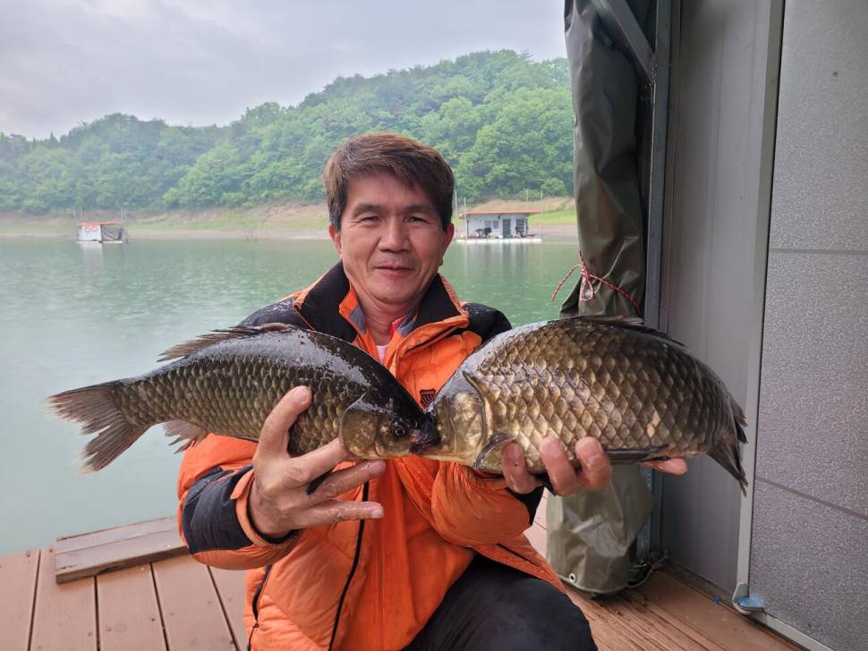 청풍 실리곡낚시터 43cm 대물입니다 (조황조행기 - 충주호조황속보)