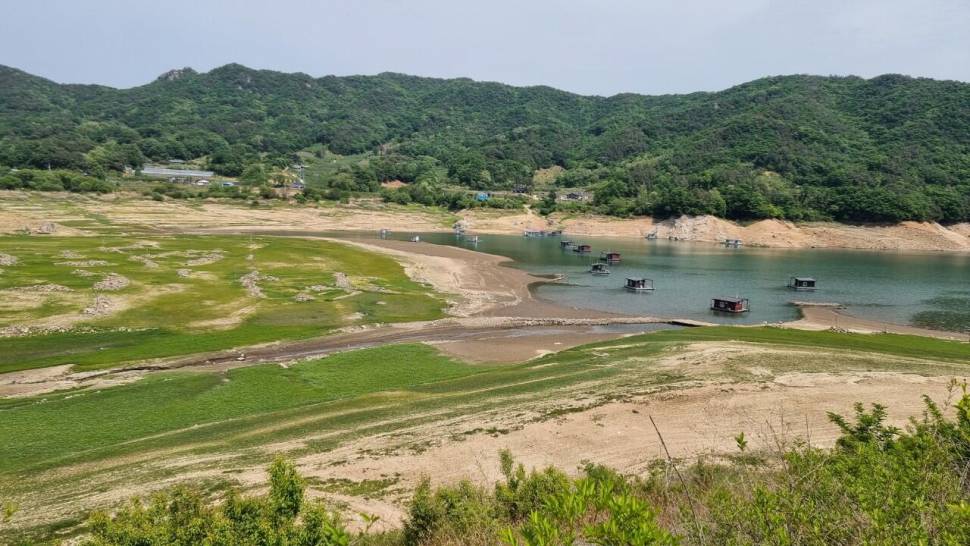 솔낚시터 조황소식입니다 (조황조행기 - 충주호조황속보)