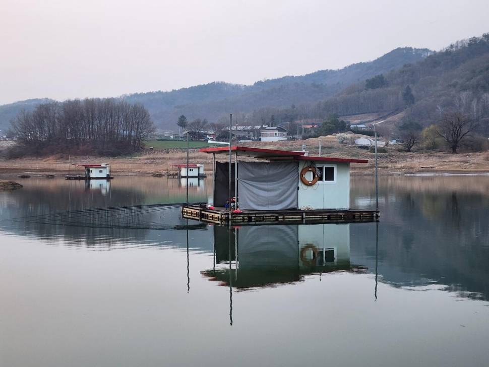 청풍 한버들 낚시터 첫 조황입니다 (조황조행기 - 충주호조황속보)