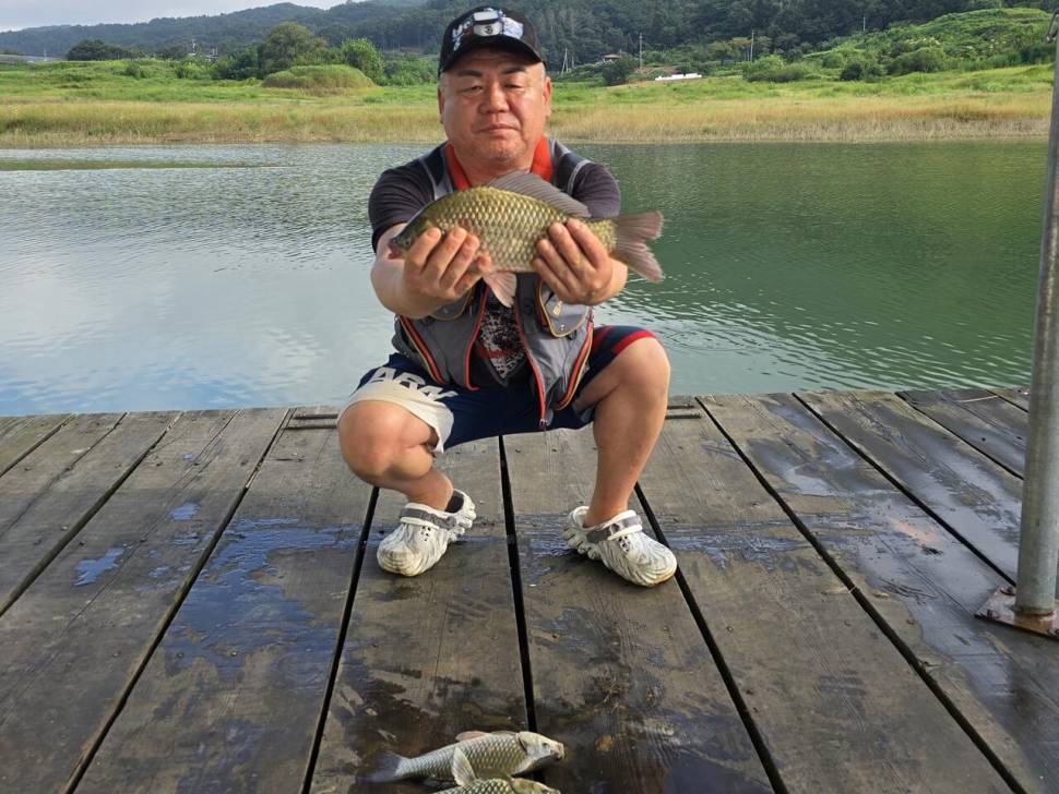 청풍 한버들 조황입니다 (조황조행기 - 충주호조황속보)