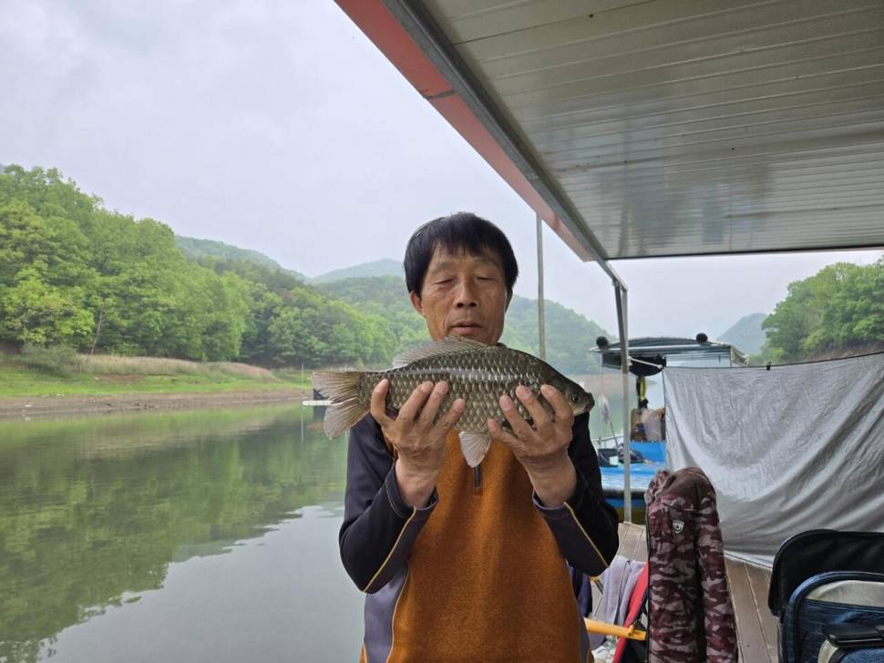 청풍실리곡낚시터 조황입니다 (조황조행기 - 충주호조황속보)