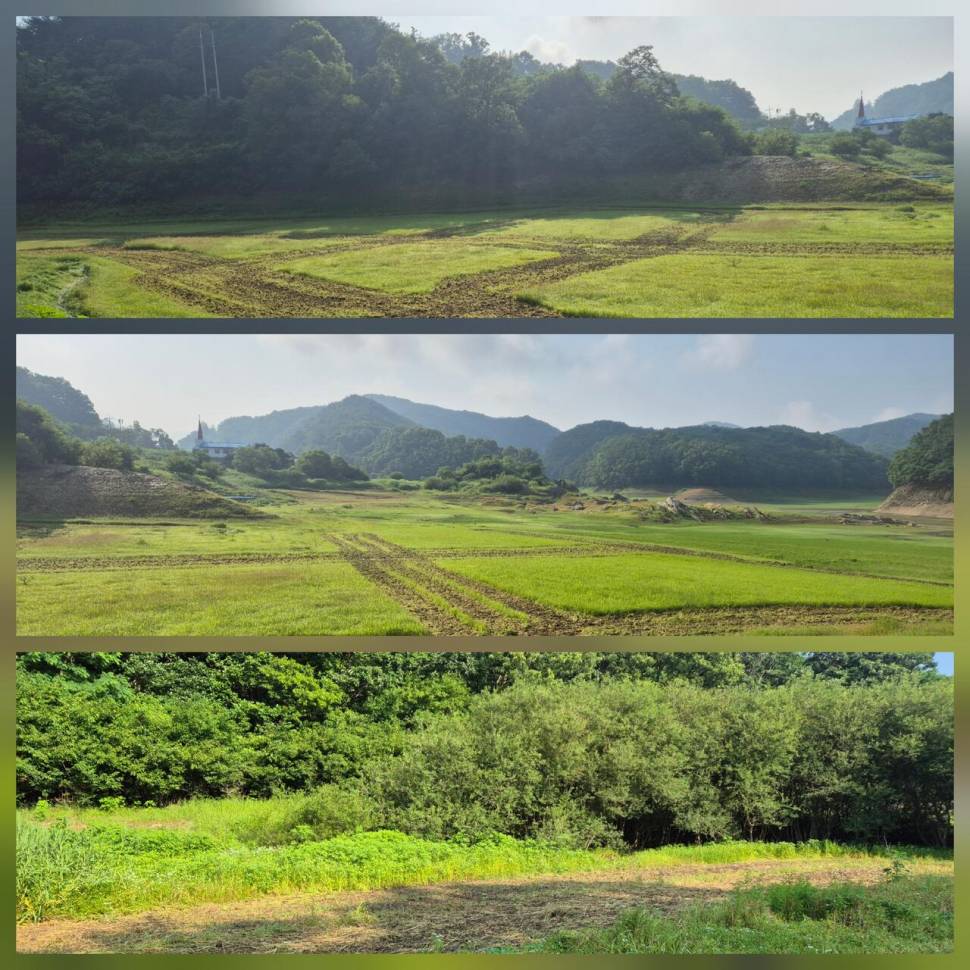청풍신리낚시터 주말조황입니다 (조황조행기 - 충주호조황속보)