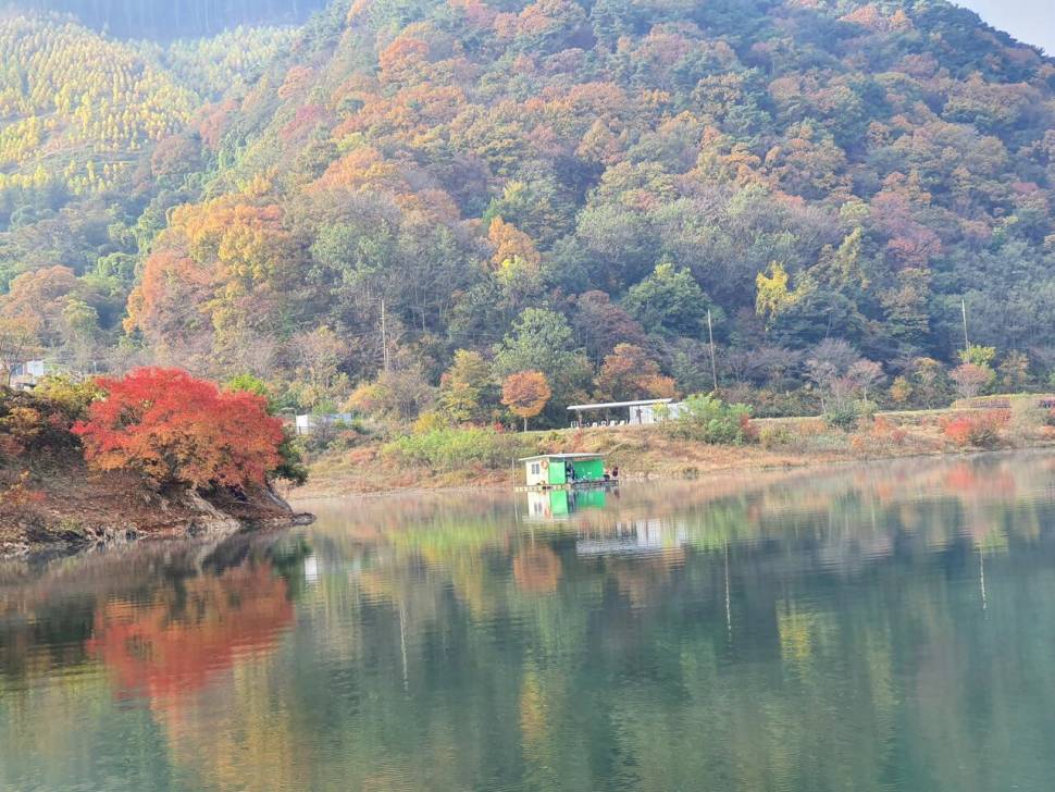 용곡 김기호 낚시터 조황정보 입니다 (조황조행기 - 충주호조황속보)