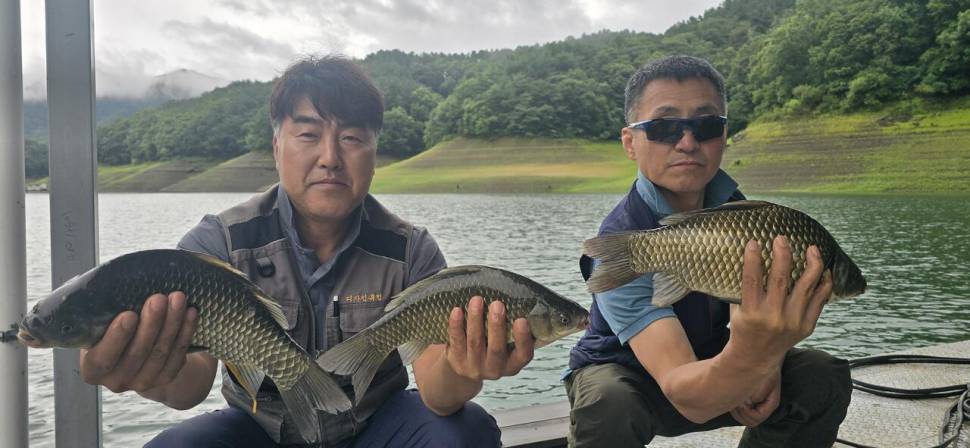 신매낚시터 7월 20일 조황 (조황조행기 - 충주호조황속보)