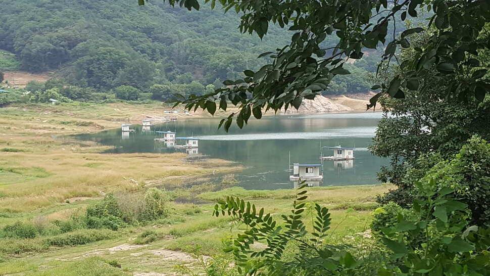 힐링낚시터 종점낚시터입니다 (조황조행기 - 충주호조황속보)