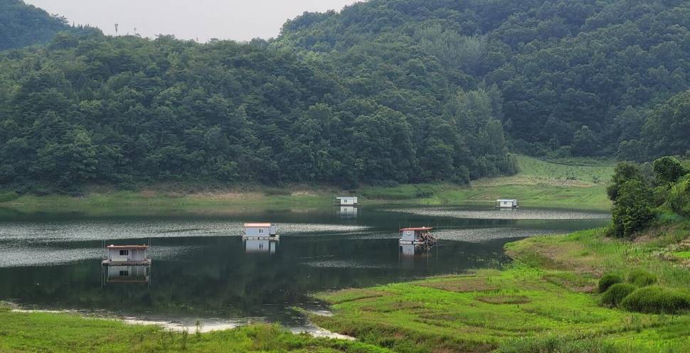 실리곡낚시터 조황입니다 (조황조행기 - 충주호조황속보)