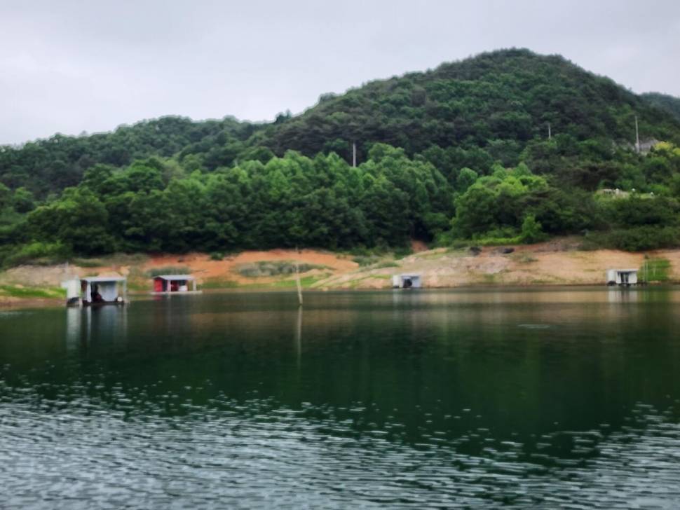조황조행기 > 충주호조황속보 > 돌감낚시터 4짜 및 붕어조황입니다.