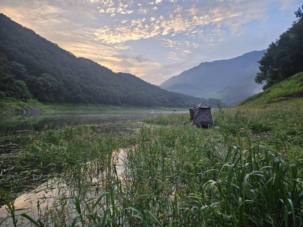 충주 명서낚시터 조황입니다 (조황조행기 - 충주호조황속보)