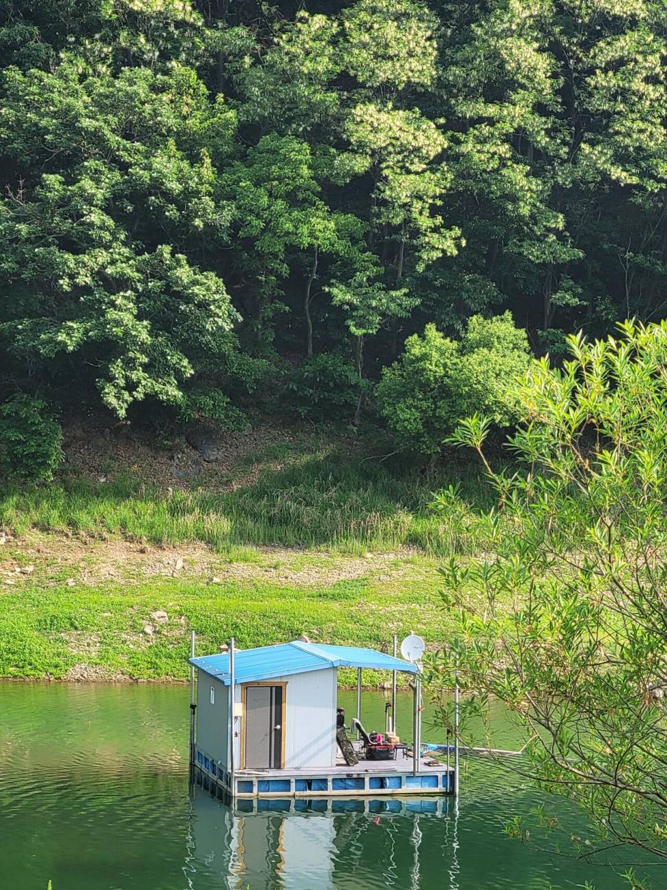 목벌낚시터 대물 조황정보 (조황조행기 - 충주호조황속보)