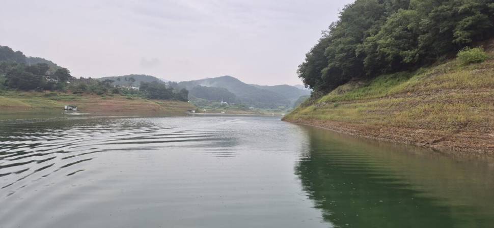 청풍신리낚시터 조황입니다 (조황조행기 - 충주호조황속보)