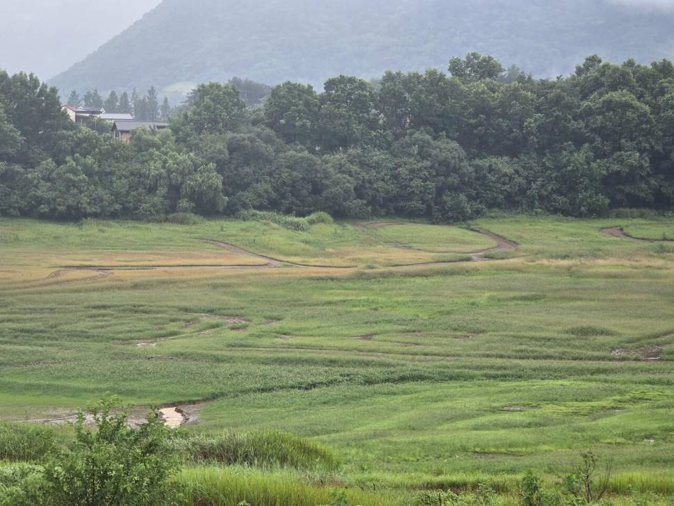 청풍 한버들 조황입니다 (조황조행기 - 충주호조황속보)