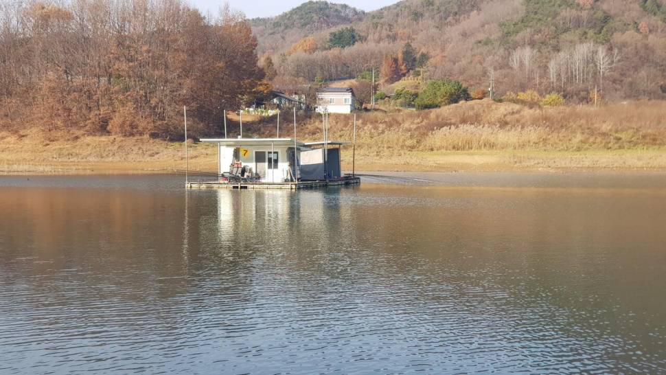 한버들 조황입니다 (조황조행기 - 충주호조황속보)