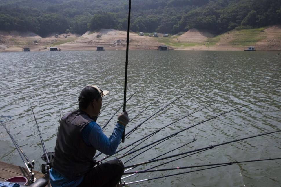 솔낚시터 나왔다 사짜 조황소식입니다 (조황조행기 - 충주호조황속보)