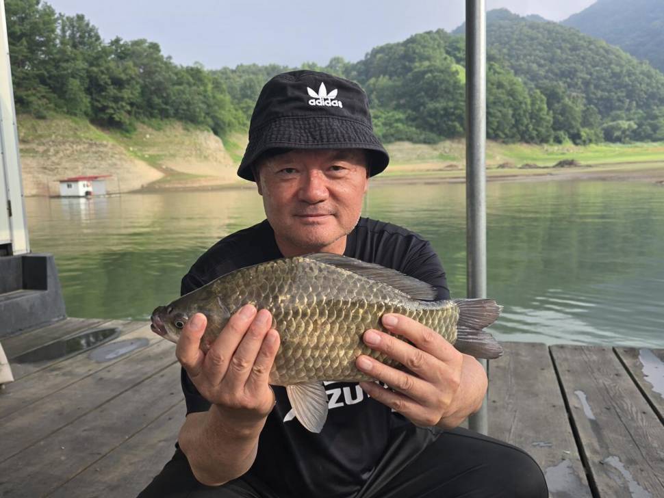 청풍 한버들 조황입니다 (조황조행기 - 충주호조황속보)