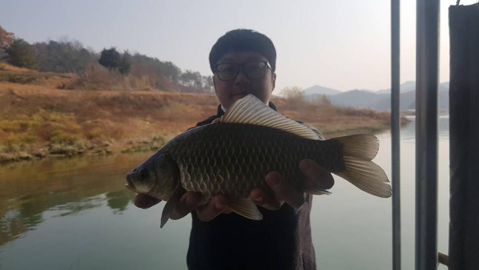 한버들 조황입니다 (조황조행기 - 충주호조황속보)