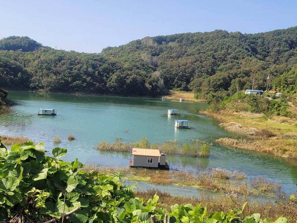 청풍 실리곡낚시터 조황입니다 (조황조행기 - 충주호조황속보)