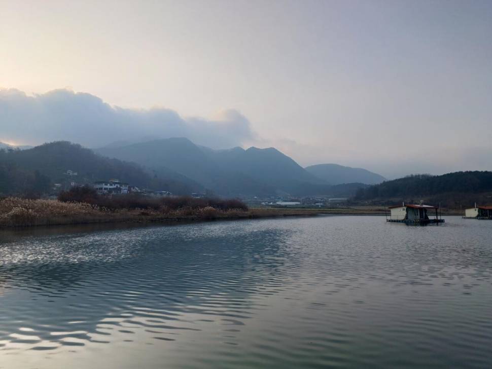 제일낚시터 조황정보 (조황조행기 - 충주호조황속보)