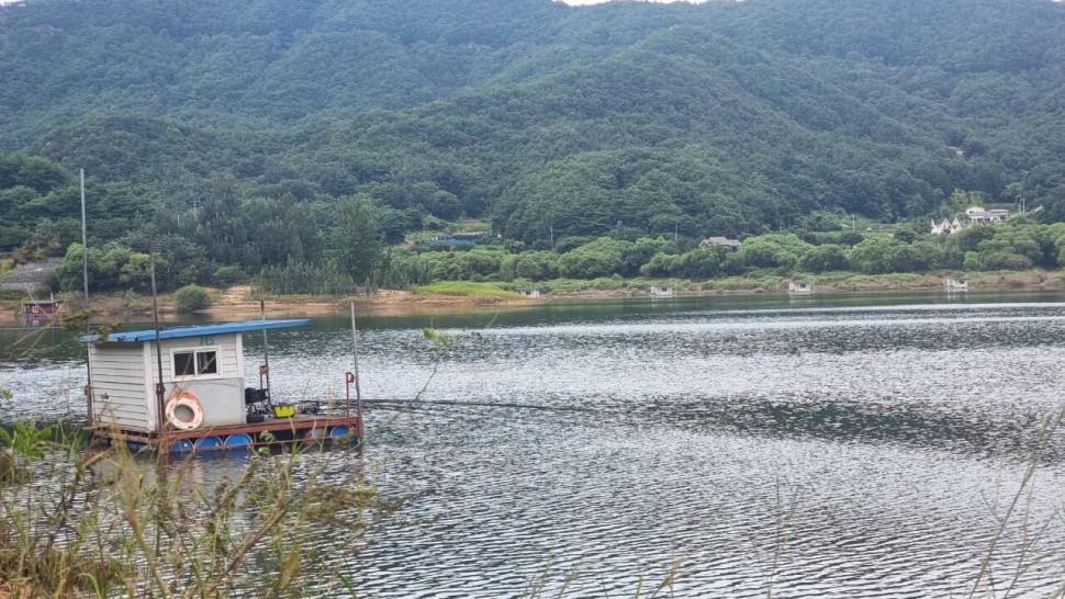 솔낚시터 조황소식 입니다 (조황조행기 - 충주호조황속보)