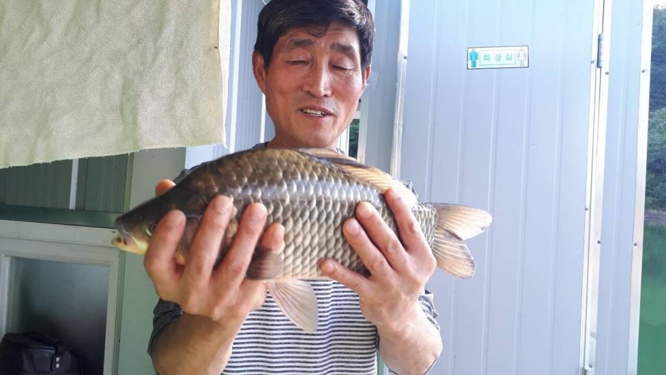짱가네낚시터 (조황조행기 - 충주호조황속보)