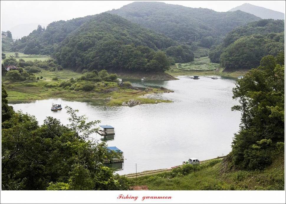 청풍신리낚시터 4짜허리급입니다 (조황조행기 - 충주호조황속보)