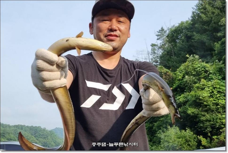 충주호 늘푸른 주중 조황소식 (조황조행기 - 충주호조황속보)