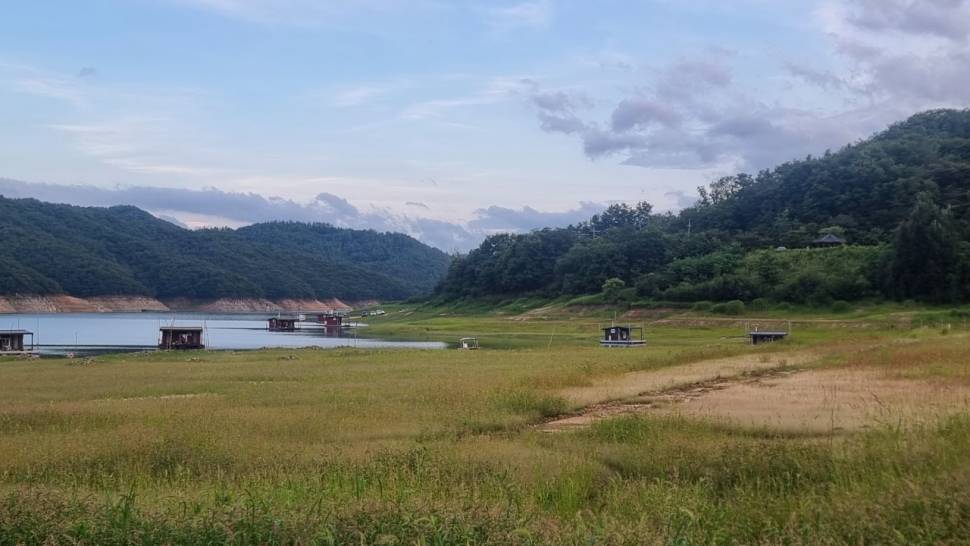 솔낚시터 조황소식입니다 (조황조행기 - 충주호조황속보)