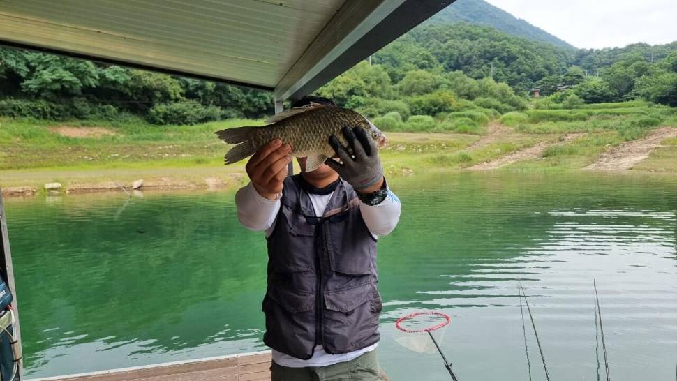 솔낚시터 사짜및 허리급 조황 소식입니다 (조황조행기 - 충주호조황속보)