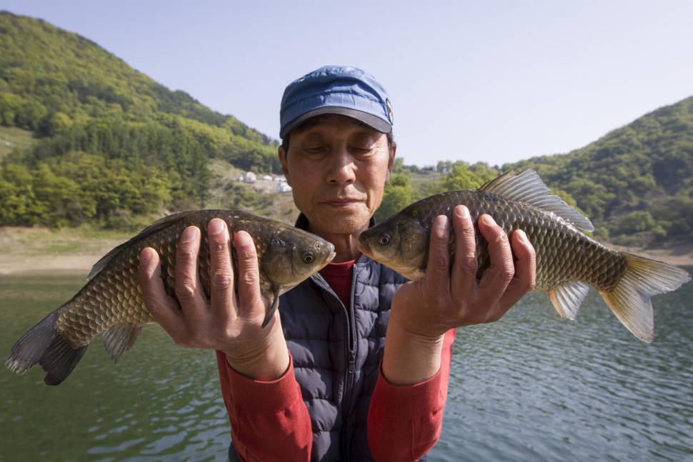 충주호목벌낚시터소식 (조황조행기 - 충주호조황속보)