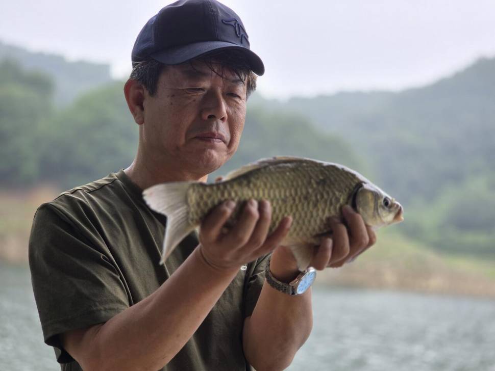 목벌조황정보 (조황조행기 - 충주호조황속보)
