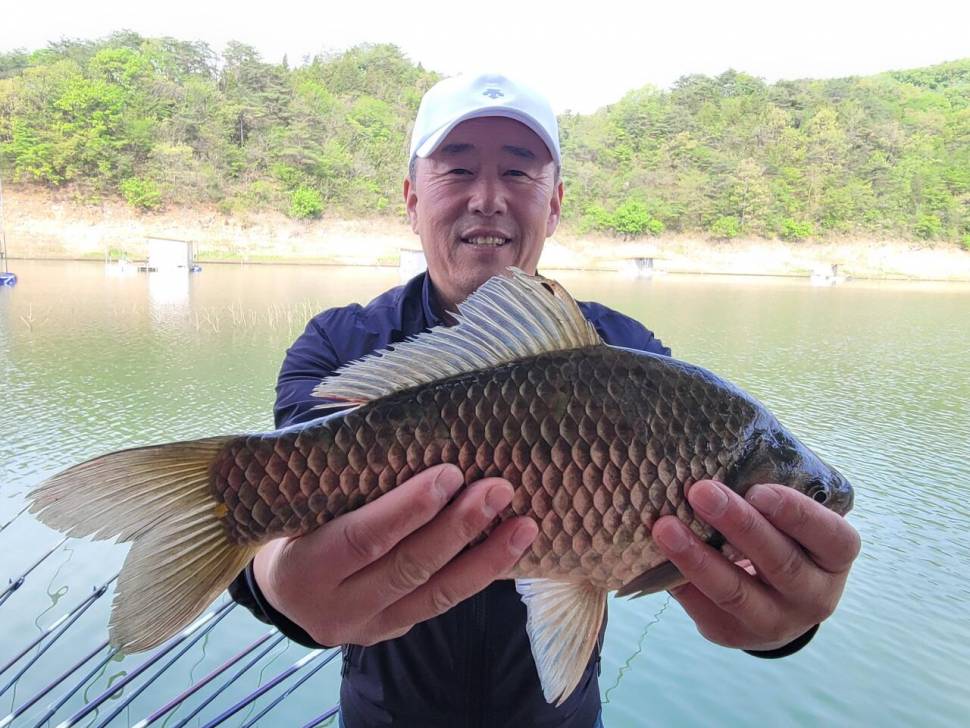 청풍 실리곡낚시터 4짜외 허리급 조황입니다 (조황조행기 - 충주호조황속보)
