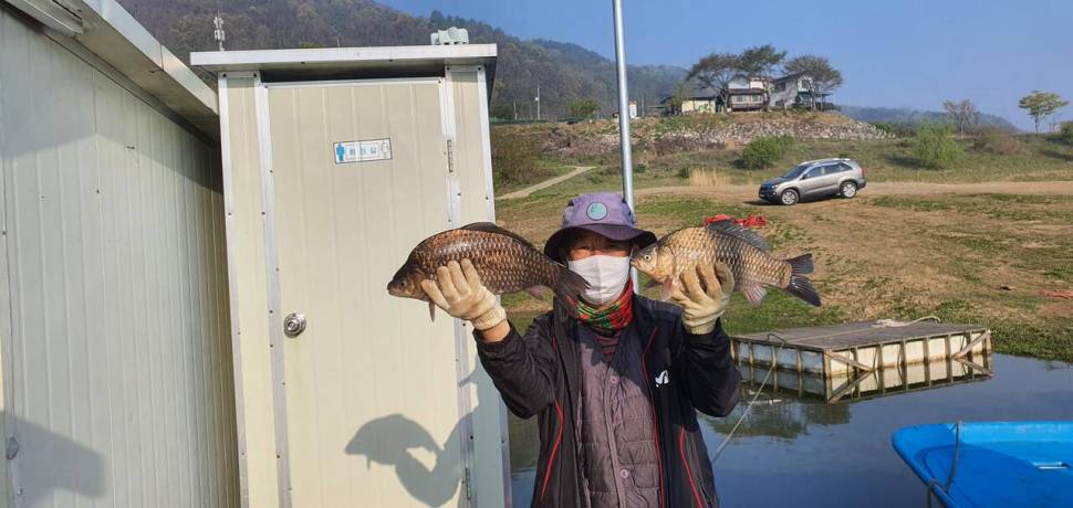 용곡 김기호 낚시터 조황입니다 (조황조행기 - 충주호조황속보)